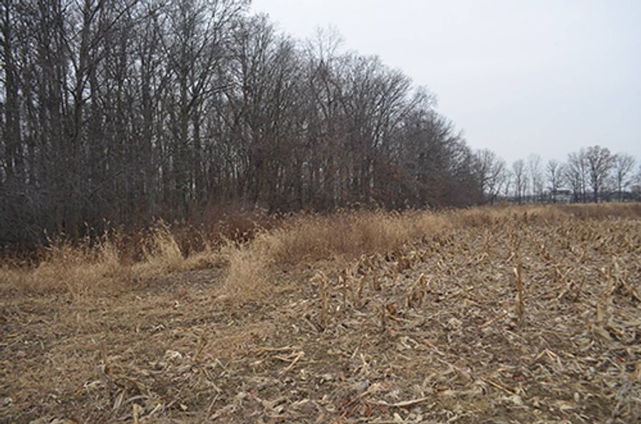 LAND AUCTION, 77 Acres offered in 3 Tracts